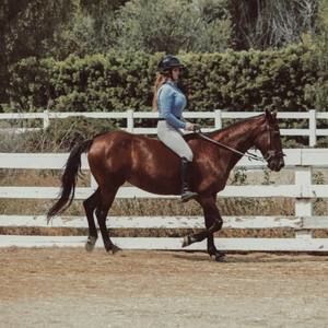 Meet your Posher, Elise